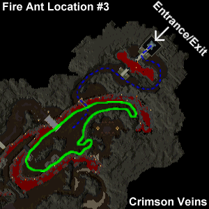 fireant location