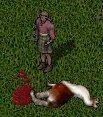 Xena killed a llama