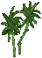 Bright Green Small Palm