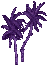 Bright Purple Small Palm