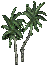Plain Colored Small Palm
