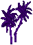 Purple Small Palm