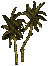 Yellow Small Palm