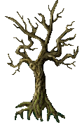 Cypress (Plain)