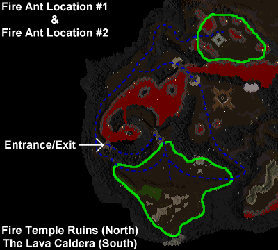 fireant location
